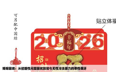 婚姻困境：从初期性问题困扰到如今无性冷淡暴力的恶性循环