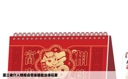 第三者介入婚姻会带来哪些法律后果