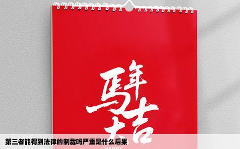 第三者能得到法律的制裁吗严重是什么后果