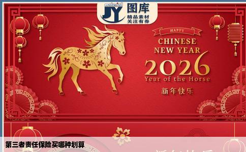 第三者责任保险买哪种划算