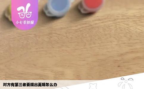 对方有第三者要提出离婚怎么办