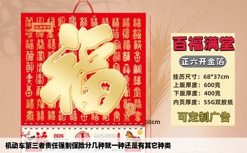 机动车第三者责任强制保险分几种就一种还是有其它种类