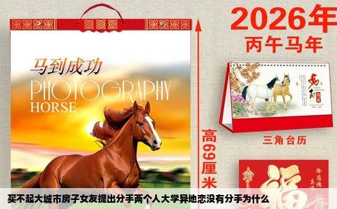 买不起大城市房子女友提出分手两个人大学异地恋没有分手为什么