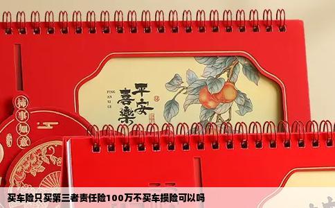 买车险只买第三者责任险100万不买车损险可以吗