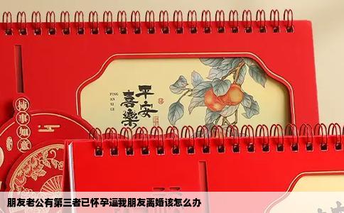 朋友老公有第三者已怀孕逼我朋友离婚该怎么办