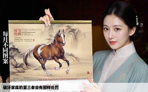 破坏家庭的第三者会有那样处罚