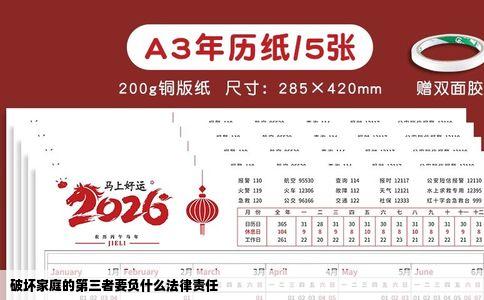 破坏家庭的第三者要负什么法律责任