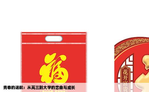 青春的迷航：从高三到大学的恋曲与成长