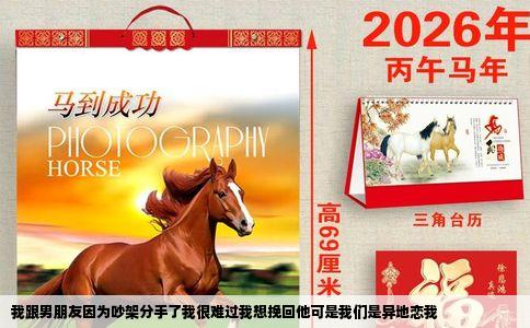 我跟男朋友因为吵架分手了我很难过我想挽回他可是我们是异地恋我