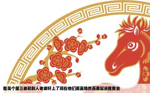 我是个第三者和别人老婆好上了现在他们要离婚然而要起诉我我会