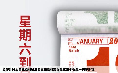要多少只买商业险和第三者责任险和交强险这三个保险一共多少钱