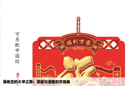 异地恋的大学之路：坚韧与温情的交响曲