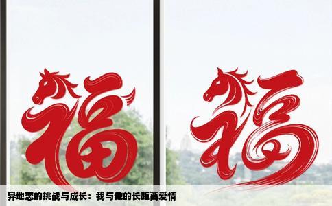 异地恋的挑战与成长：我与他的长距离爱情