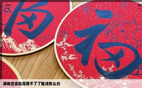 异地恋实在是受不了了我该怎么办