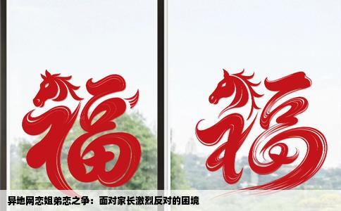 异地网恋姐弟恋之争：面对家长激烈反对的困境