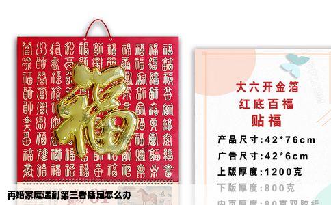 再婚家庭遇到第三者插足怎么办